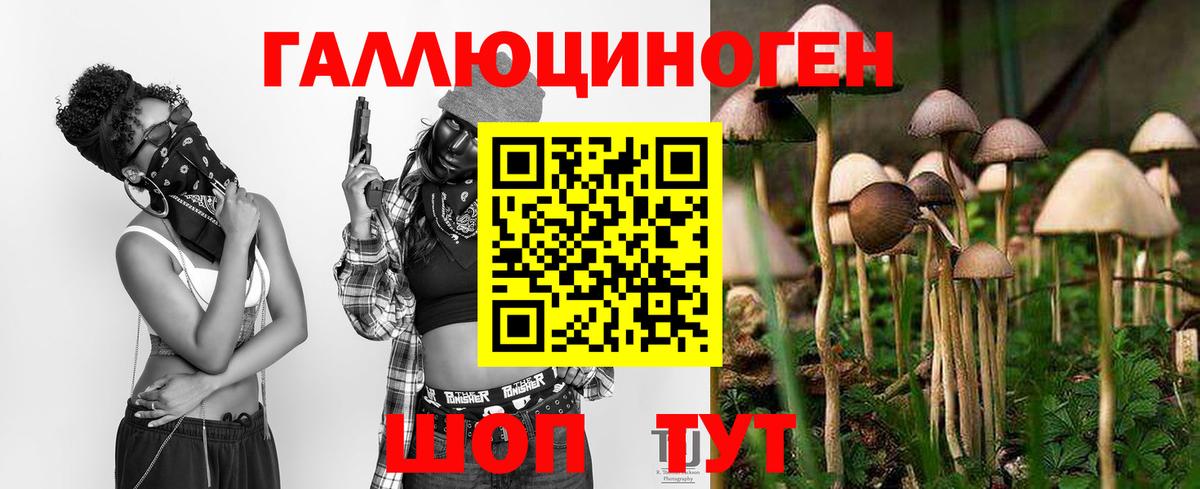 Галлюциногенные грибы прущие грибы Сафоново